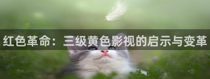倫理影院在線：紅色革命：三級黃色影視的啟示與變革