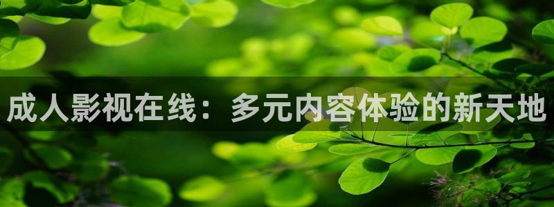 日本午夜倫理影片大全：成人影視在線：多元內(nèi)容體驗的新天地