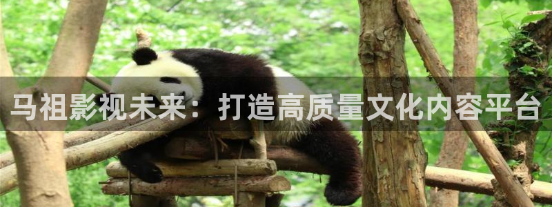 倫理影片在線網(wǎng)站：馬祖影視未來：打造高質(zhì)量文化內(nèi)容平臺