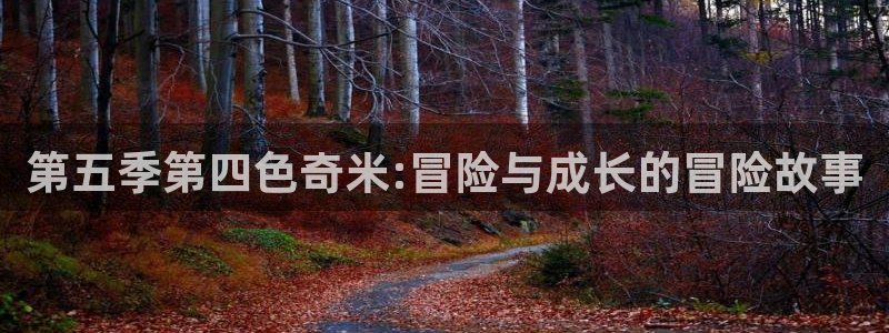 第一倫理影院：第五季第四色奇米:冒險與成長的冒險故事